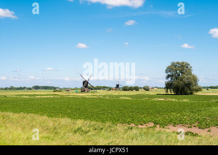 Polderlandscape avec deux moulins à vent près de Almkerk post creux en Brabant, Pays-Bas Banque D'Images