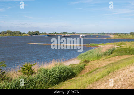 Panorama de la rivière Waal avec épis et de la navigation intérieure à partir de la digue sur la rive sud près de Zuilichem, Bommelerwaard, Gueldre, Pays-Bas Banque D'Images