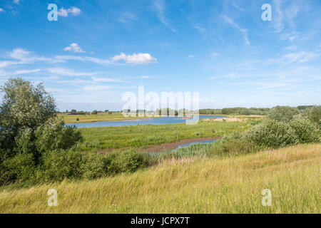 Panorama de l'Breemwaard la réserve naturelle dans les plaines inondables de la rivière Waal à partir de la digue sur la rive sud près de Nieuwaal, Bommelerwaard, Gueldre, Pays-Bas Banque D'Images