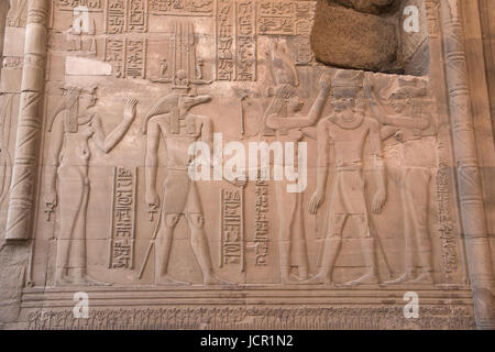 Mur intérieur sculpté du Temple de Kom Ombo, est un temple double, il a été construit pendant la dynastie ptolémaïque, 180-47 av. J.-C., quelques ajouts t Banque D'Images