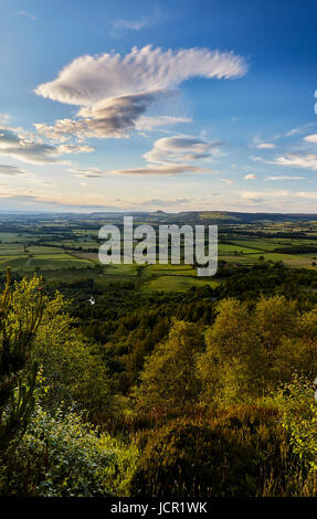 L'écimage et l'églantier Cleveland Hills et Vale, Yorkshire du Nord. Banque D'Images