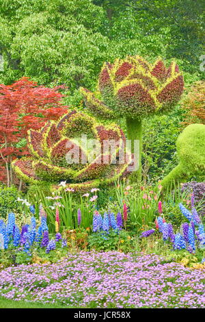 Fleurs de jardin parc chinois Hangzhou, Chine Banque D'Images