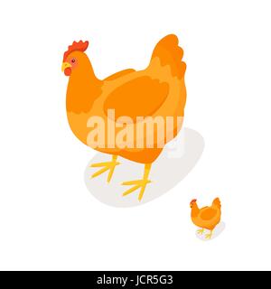 3D isométrique vector illustration de poulet. Vue de face. Pour l'icône web. Isolé sur fond blanc. Illustration de Vecteur