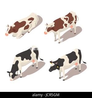 3D isométrique vector set de vaches. Pour l'icône web. Isolé sur fond blanc. Illustration de Vecteur