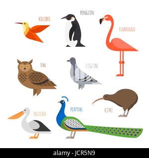 Vector set d'icônes d'oiseaux colorés. Owl, Hummingbird, pigeon et de pingouin Illustration de Vecteur