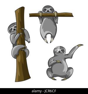 Vector set of cute des paresseux. Style de dessin animé. Sloth imprimer pour t-shirt. Art vectoriel ou de l'affiche. Heureux sloth grimper à l'arbre. Sloth hanging on a l'arborescence Illustration de Vecteur