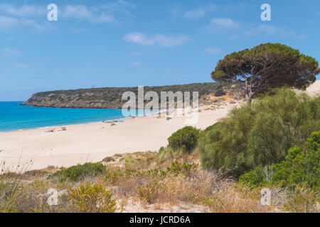 Bolonia, Costa de la Luz, Province de Cadiz, Andalousie, Espagne du sud. Plage de Bolonia. Playa de Bolonia. Banque D'Images