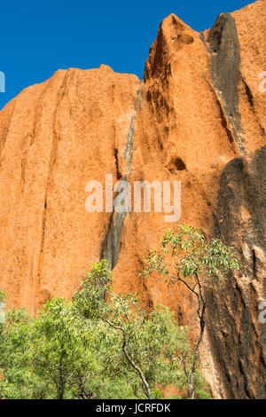 L'Uluru close up detail. Centre Rouge, Territoire du Nord. L'Australie. Banque D'Images