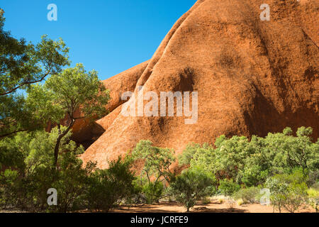 L'Uluru close up detail. Centre Rouge, Territoire du Nord. L'Australie. Banque D'Images