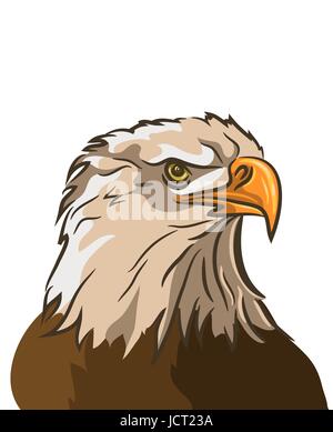 Eagle isolé sur fond blanc. vector Illustration de Vecteur