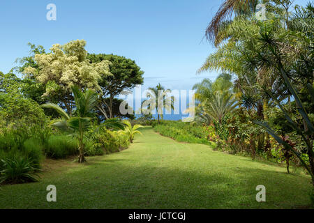 Jardin d'Eden, le jardin botanique le long de la route de Hana . Cette zone est appelée l'allée. Banque D'Images