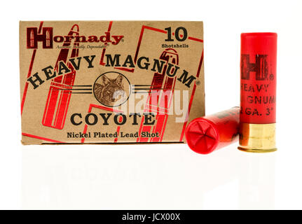 Winneconne, WI -11 juin 2017 : une boîte de munitions Hornady magnum lourds coyote sur un fond isolé Banque D'Images