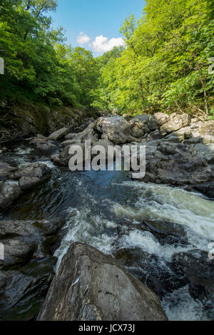 Afon Conwy - la rivière près de Conway conway Falls, Betws y Coed dans le Nord du Pays de Galles. La source de l'Afon Conwy se trouve sur la zone de Migneint high moorland Banque D'Images