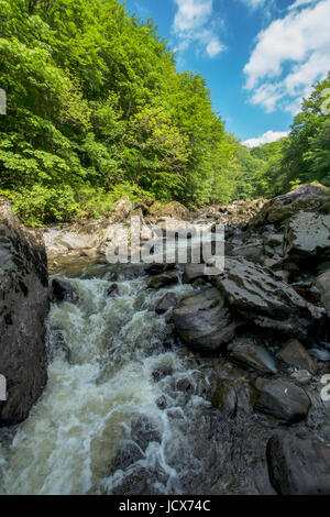 Afon Conwy - la rivière près de Conway conway Falls, Betws y Coed dans le Nord du Pays de Galles. La source de l'Afon Conwy se trouve sur la zone de Migneint high moorland Banque D'Images