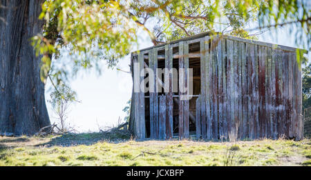 Ancienne grange ferme pays tomber en morceaux dans le nord de la Tasmanie en Australie Banque D'Images