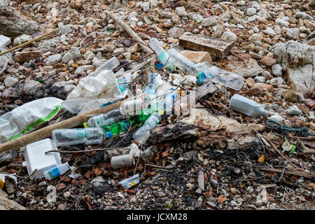 Dans l'océan de détritus rejetés sur la plage Banque D'Images