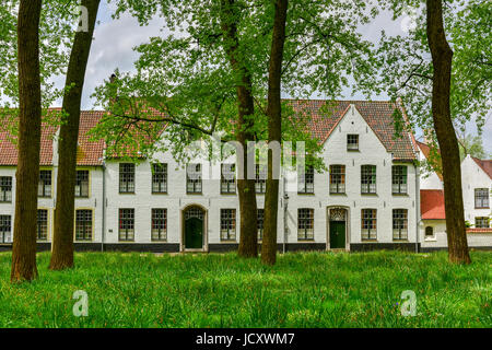 Maisons Blanches médiévale dans la Maison Princière Béguinage (Begijnhof) Dix Wijngaerde à Bruges (Brugge), Belgique. Banque D'Images