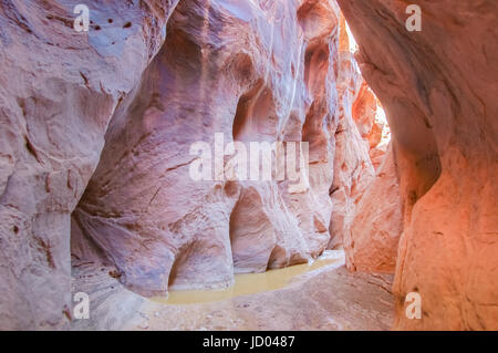 À l'intérieur de la fente du ravin du Daim Canyon. Banque D'Images