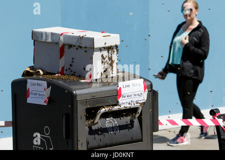 Bath, Royaume-Uni, 17 juin 2017. Comme le Royaume-Uni est prêt à vivre c'est plus chaud week-end de l'année jusqu'à présent,une femme est illustrée comme elle marche derrière un essaim d'abeilles qui avaient élu domicile dans une corbeille à côté de l'abbaye de Bath. Banque D'Images