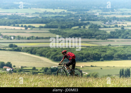 Brighton, UK. 17 Juin, 2017. Randonnée à vélo les South Downs Way, donnant sur la promenade Sussex Weald cet après-midi. Crédit : Andrew Hasson/Alamy Live News Banque D'Images