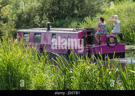 Cossington rivière Soar, Meadows, au Royaume-Uni. 17 Juin, 2017. L'un des meilleur jour cette année pour la faune et les visiteurs sur la rivière cannal, bateaux-visiteurs profiter de l'eau canoë wayat le côté de la basse terre meadows gallinules bataille, les pêcheurs héron gris du pont, swan la réflexion comme il refroidit, demoiselles bleues repose sur des nénuphars © Clifford Norton/Alamy Live News Banque D'Images