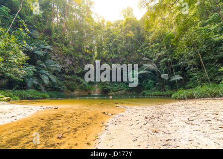 Piscine naturelle multicolore de rêve caché dans la dense forêt tropicale de l'umid et Lambir Hills National Park, Bornéo, Malaisie. Concept de la découverte et de l'exp Banque D'Images