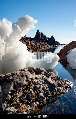 Paysage côtier robuste de Crow Head, Twillingate, Newfoundland, Canada Banque D'Images