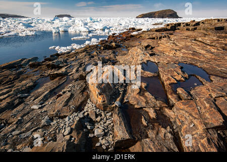 Côte Rocheuse et la glace de mer paysage de Maberly, près d'Elliston sur Cap Bonavista, Terre-Neuve, Canada Banque D'Images