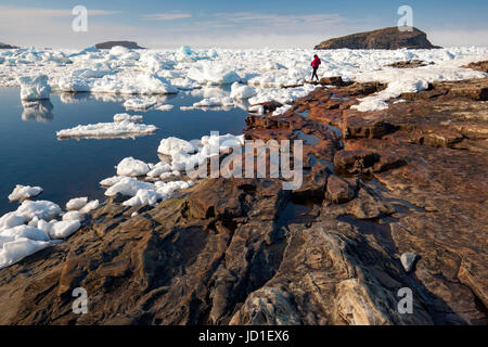 Personne qui marche sur la côte rocheuse et la glace de mer dans Maberly, près d'Elliston sur Cap Bonavista, Terre-Neuve, Canada Banque D'Images