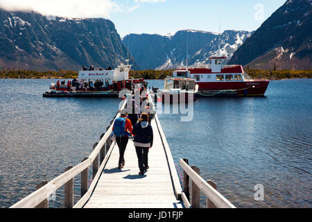 Excursions en bateau sur l'étang Western Brook, le parc national du Gros-Morne, à Terre-Neuve, Canada Banque D'Images