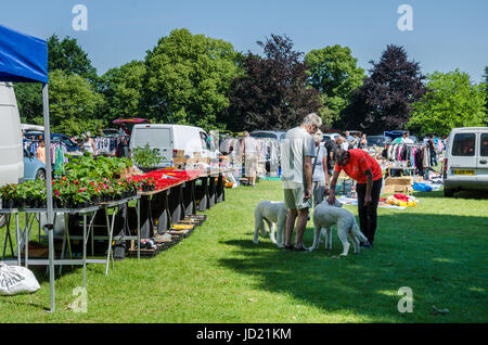 Le coffre d'une voiture à vendre à Prospect Park à Reading, Berkshire, Royaume-Uni. Banque D'Images