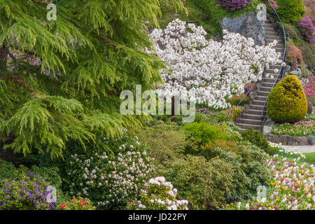 Scène à jardin Butchart Gardens à Victoria, Colombie-Britannique, Canada. Banque D'Images