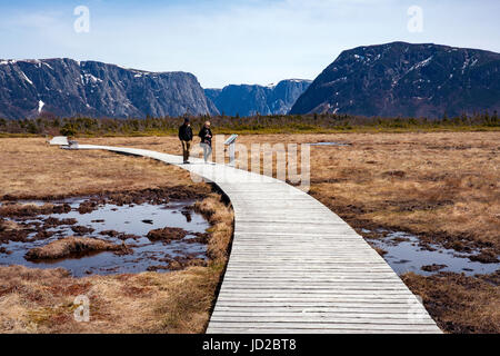 Sentier à l'étang Western Brook, le parc national du Gros-Morne, à Terre-Neuve, Canada Banque D'Images