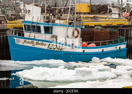Les bateaux de pêche et la glace de mer dans le port de Twillingate - Twillingate, Newfoundland, Canada Banque D'Images