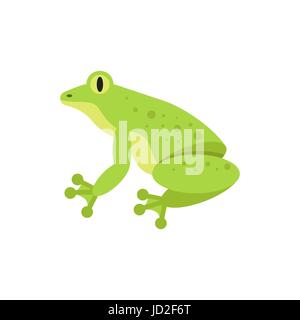 Vector illustration style plat de grenouille. Pour l'icône web. Isolé sur fond blanc. Illustration de Vecteur