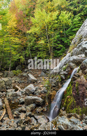 Une section de l'approche à plusieurs niveaux de Roaring Brook Falls, Giant Mountain Wilderness, parc des Adirondack High Peaks Region, Essex Co., NY Banque D'Images