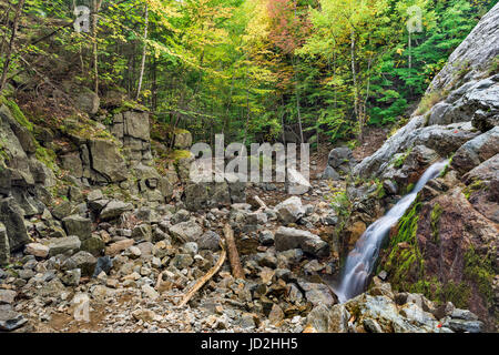 Une section de l'approche à plusieurs niveaux de Roaring Brook Falls, Giant Mountain Wilderness, parc des Adirondack High Peaks Region, Essex Co., NY Banque D'Images