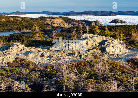 Paysages côtiers accidentés - Crow Head, Twillingate, Newfoundland, Canada Banque D'Images