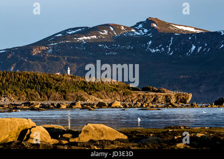 Le phare de Lobster Cove Head - Gros Morne National Park, Rocky Harbour, Terre-Neuve, Canada Banque D'Images
