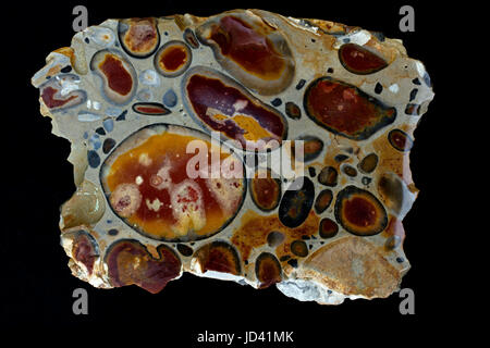 Hertfordshire puddingstone conglomérat, silex, fragments dans une matrice silicious, Hertfordshire, Angleterre Banque D'Images