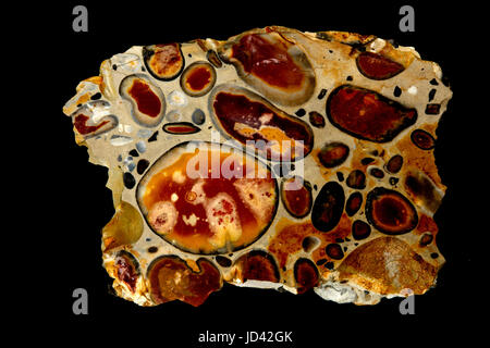 Hertfordshire puddingstone conglomérat, silex, fragments dans une matrice silicious, Hertfordshire, Angleterre Banque D'Images