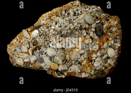 Hertfordshire puddingstone conglomérat, composé principalement de fragments de silex dans une matrice siliceuse, Hertfordshire, Angleterre Banque D'Images