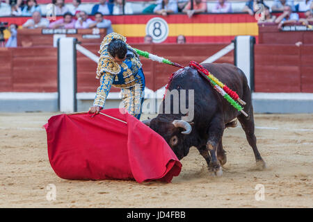 Ivan Fandiño Barros (Orduña, Vizcaya, Espagne, 29 septembre 1980 - Mont-de-Marsan, Landes, France, 17 juin 2017) était un torero espagnol. Banque D'Images