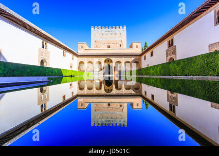 Alhambra de Grenade, Espagne. Les Palais Nasrides (Palacios Nazaraies) dans la forteresse de l'Alhambra. Banque D'Images