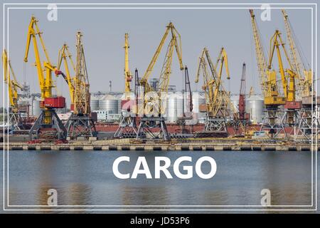 Grues à conteneurs de fret.dans le fret port terminal. Banque D'Images