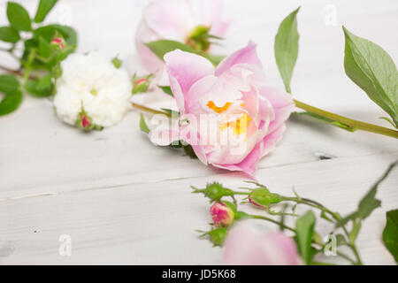 Close up de fleurs roses et blanches sur la table en bois. Pivoines et roses sauvages. High key, copiez l'espace. Banque D'Images