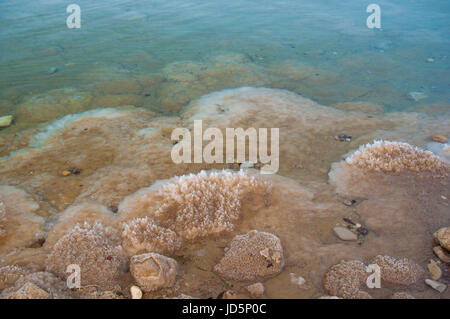 Formations de cristaux de sel de la mer Morte à l'autre en Israël. Banque D'Images