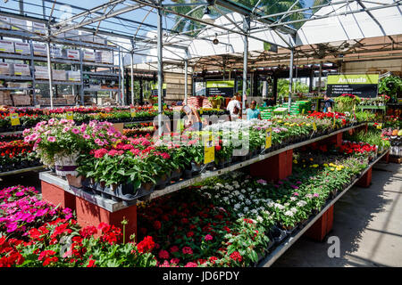 Miami Florida,Little Havana,Home Depot,Home Improvement fournitures,magasin,shopping shopper shoppers magasins marché marchés achats vente, Banque D'Images