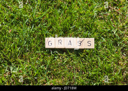 Les tuiles de SCRABBLE allongé sur l'herbe dans le jardin Banque D'Images