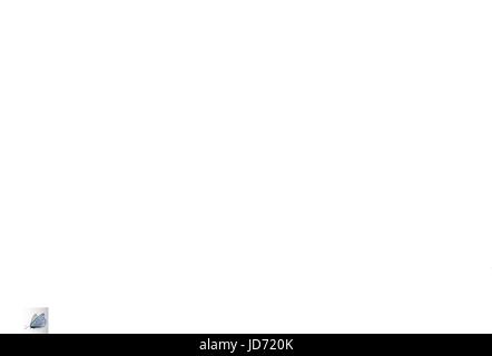 Papillon. Sur un transparent Illustration de Vecteur